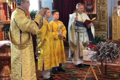 Pussy Willow Sunday - Blessing